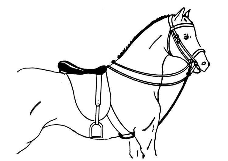 Disegno da colorare cavallo sellato