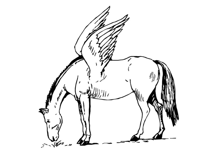 Disegno da colorare cavallo volante - pegaso