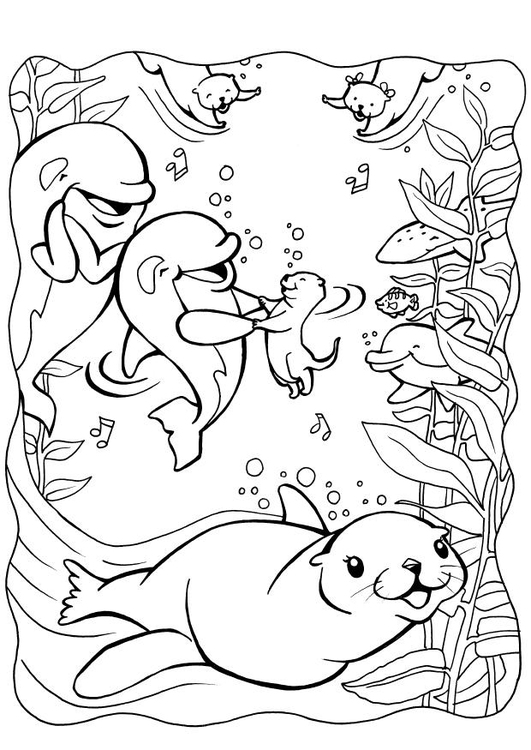 Disegno da colorare delfino con foca