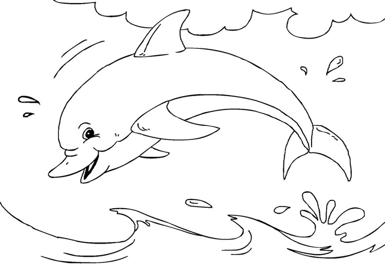 Disegno da colorare delfino