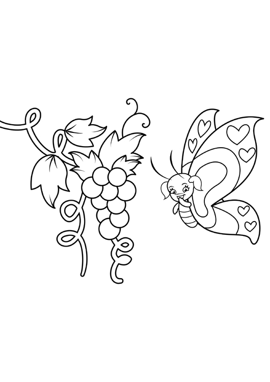 Disegno da colorare farfalla nell&#39;uva
