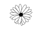 Disegni da colorare fiore