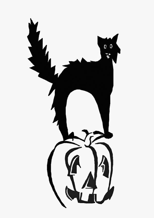 Disegno da colorare gatto nero sulla zucca