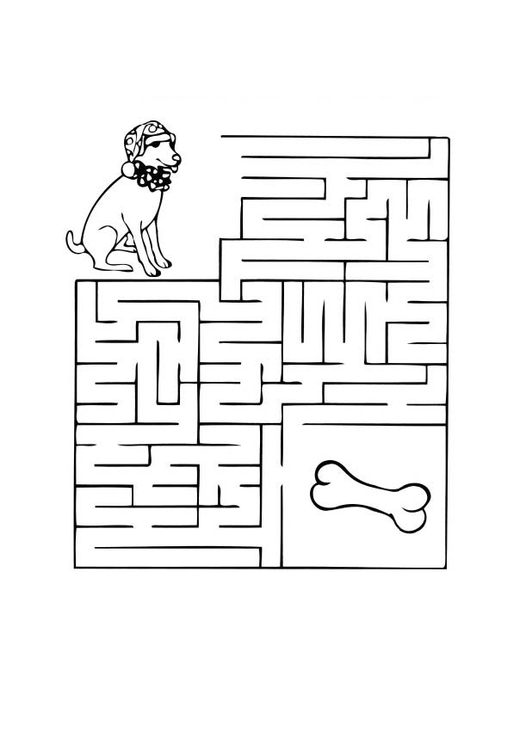 Disegno da colorare labirinto - cane