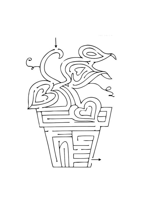 Disegno da colorare labirinto - pianta