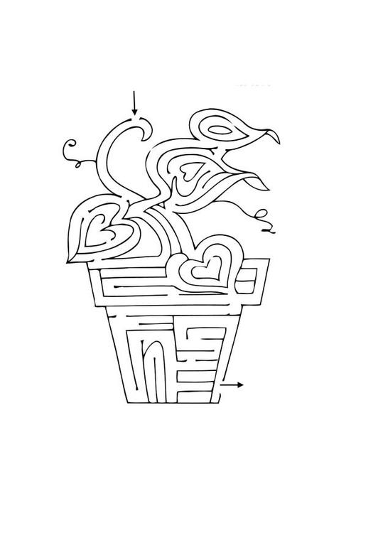 labirinto - pianta