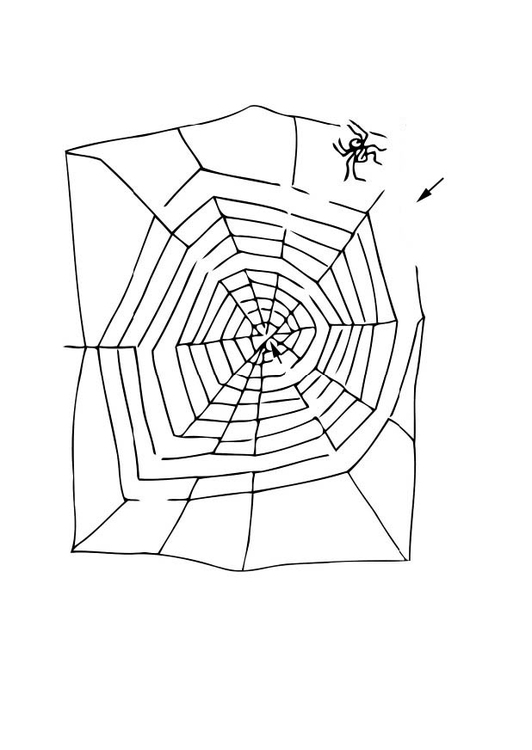 Disegno da colorare labirinto - ragno