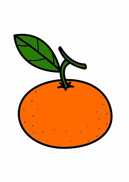 Disegno da colorare mandarino