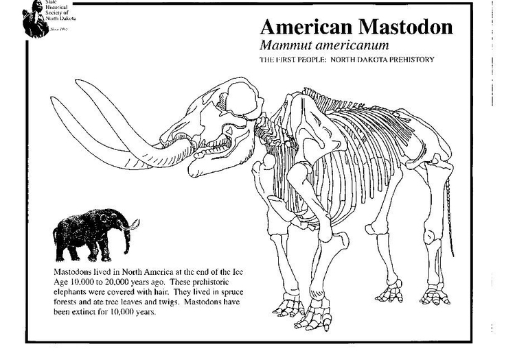 Disegno da colorare Mastodonte