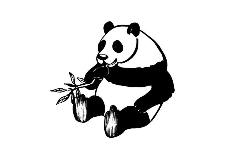 Disegno da colorare panda
