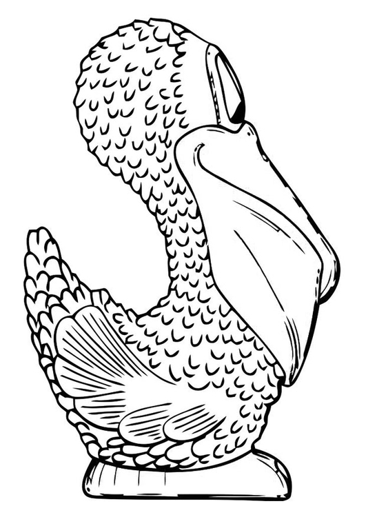 Disegno da colorare pelicano di lato