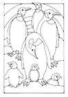 Disegni da colorare pinguino