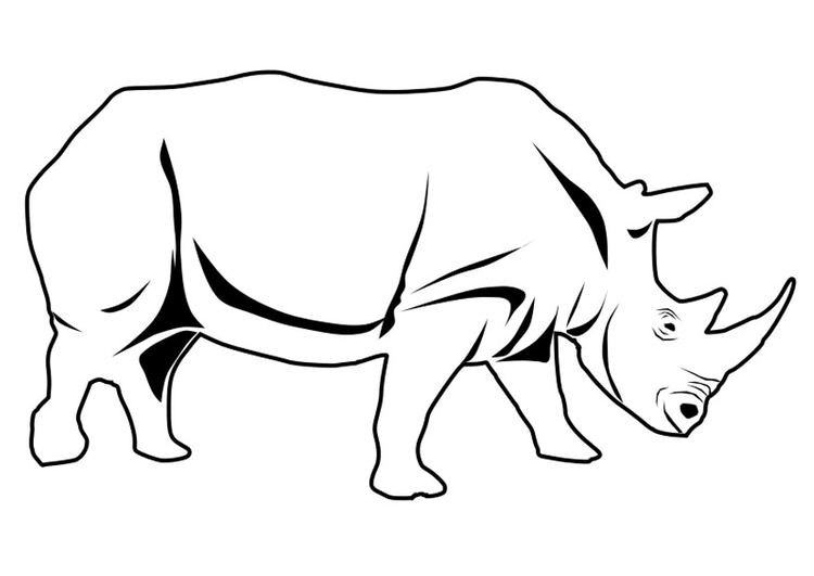 Disegno da colorare rinoceronte