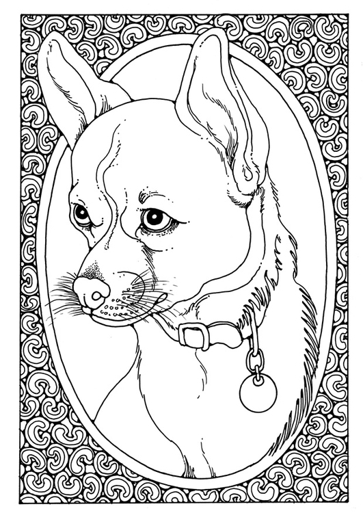 Disegno da colorare ritratto di cane