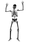Disegni da colorare scheletro 
