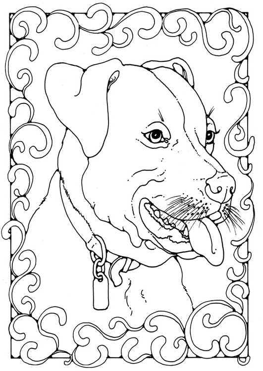 Disegno da colorare staffordshire bull terrier