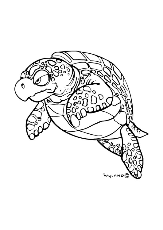 Disegno da colorare tartaruga marina