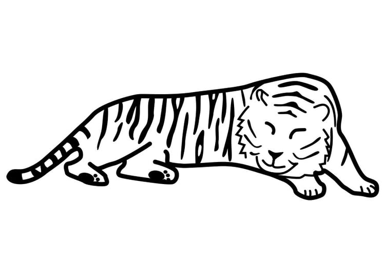 Disegno da colorare tigre che dorme