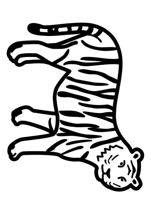 tigre ferma