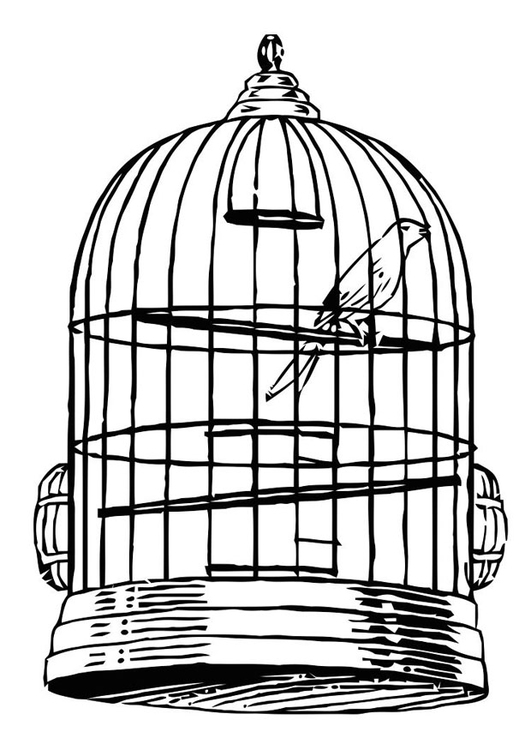 Disegno da colorare uccellino in gabbia