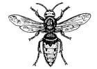 Disegni da colorare vespa - tafano