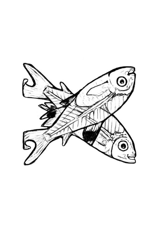 x ray fish coloring pages - photo #19