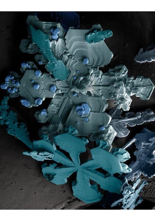 cristalli di ghiaccio sotto il microscopio