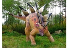 Foto Stegosauro