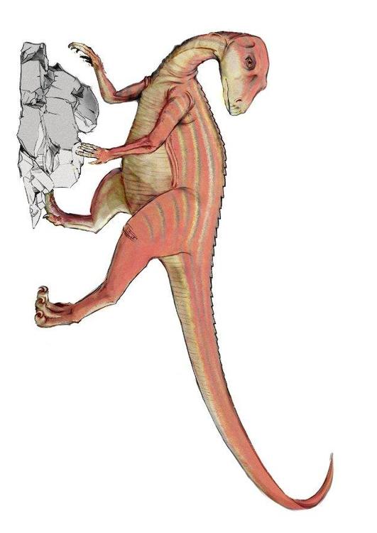 Abrictosauro