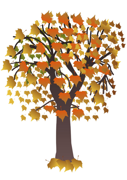 immagine albero in autunno