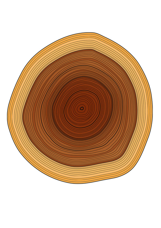 immagine anelli dell'albero