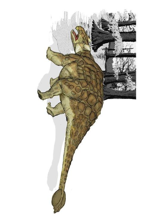Ankylosauro