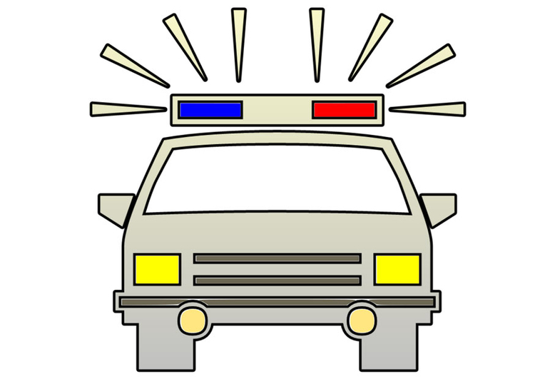 immagine auto della polizia