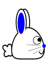 immagini coniglio - profilo