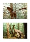 immagini Dinosauro con piume