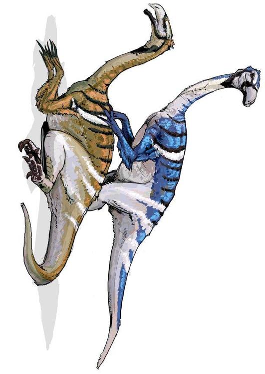 Dinosauro Nanshiungosauro