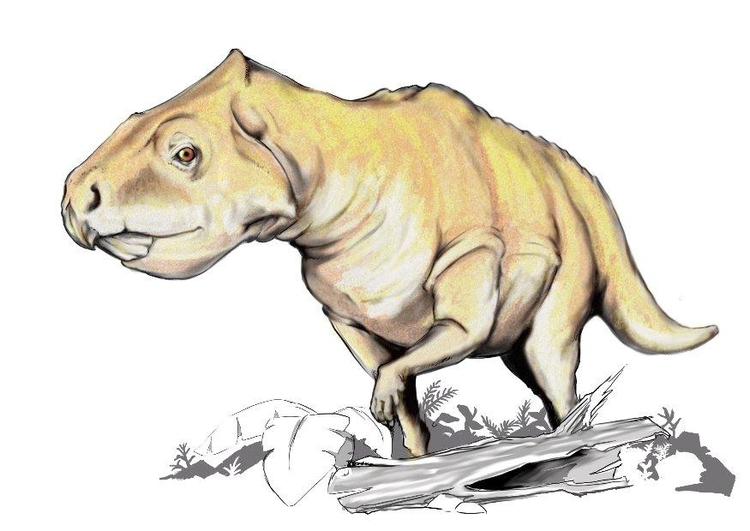 immagine Dinosauro Prenoceratops