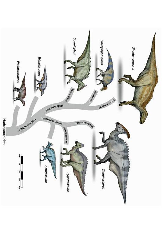 evoluzione del dinosauro