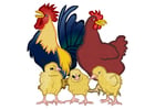 gallo, gallina e pulcini