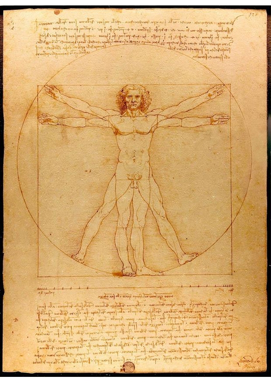 immagine Leonardo da Vinci - L'uomo Vitruviano