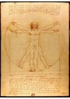 immagini Leonardo da Vinci - L'uomo Vitruviano