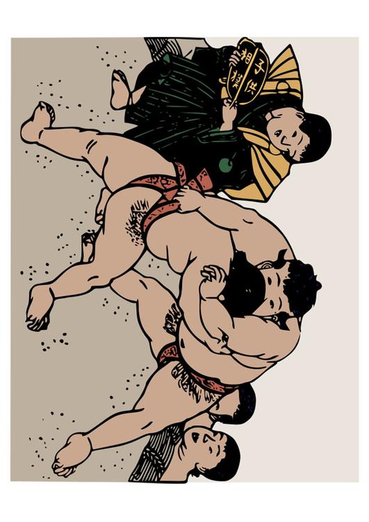 lottatori di sumo