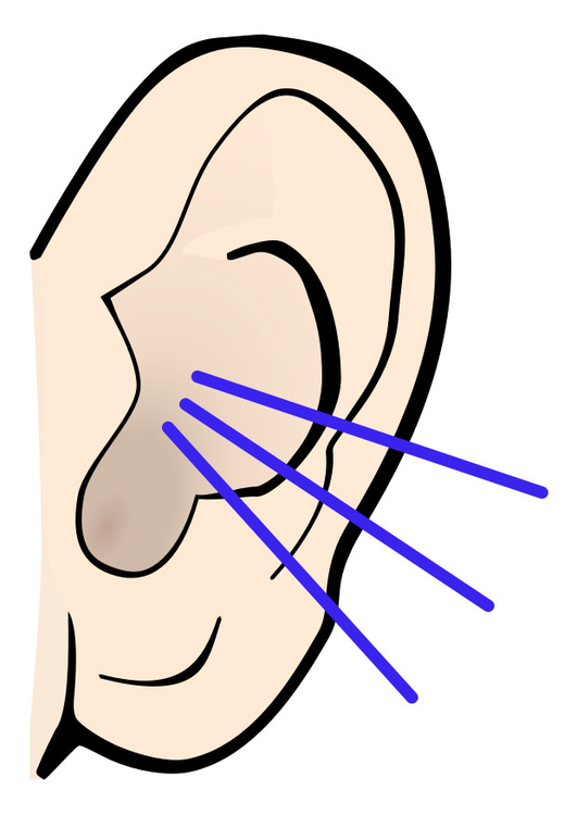 immagine orecchio - suono