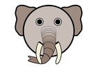 immagini r1 - elefante