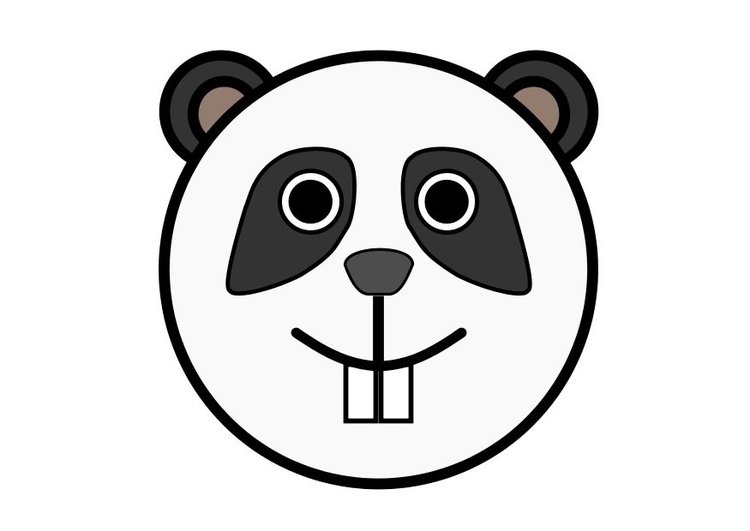 immagine r1 - panda