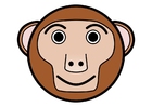 immagini r1- scimmia