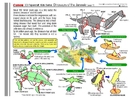creativita_artigianato giurassico 1
