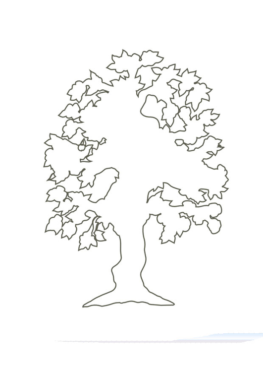 Disegno da colorare albero