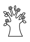 albero fiorito in primavera