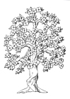 albero fiorito